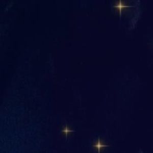 Meet your Posher, Carmen